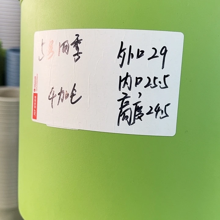 特价5号四季口29高24.5果绿色5个无托
