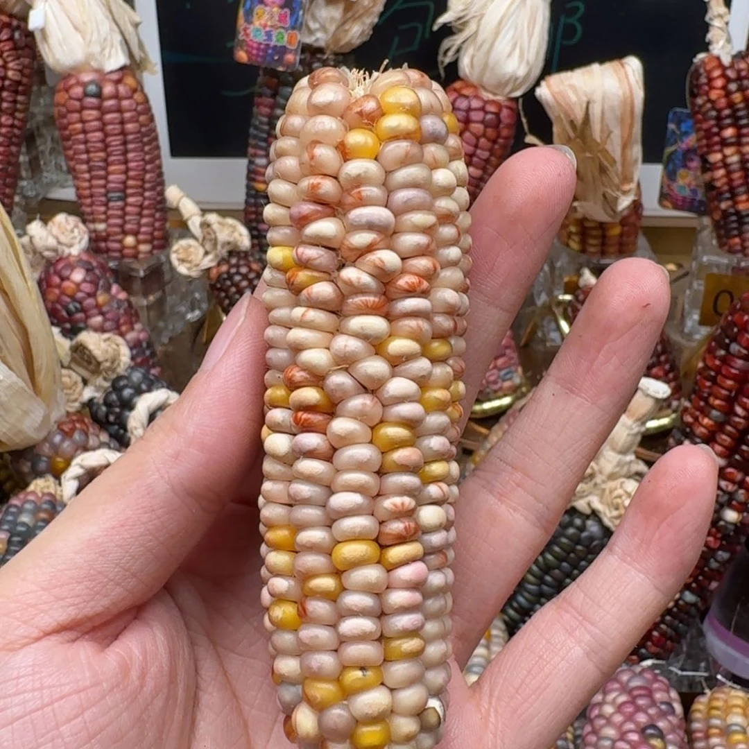 柏香籽/百香籽吊坠佩**姐