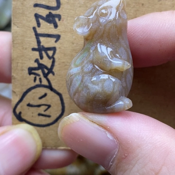 硅化珊瑚（珊瑚玉）未镶嵌颈饰