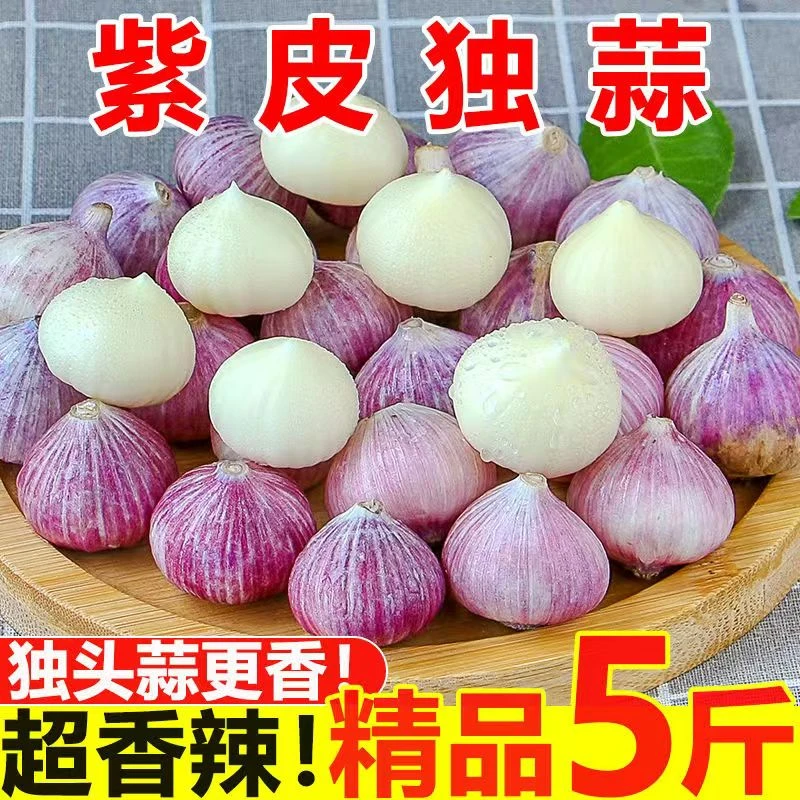 【辛辣】紫皮独头蒜现挖新鲜湿蒜农家自种整箱批发价大蒜头农家自种
