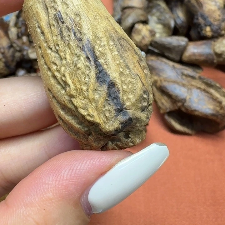 大叶紫檀（黑酸枝木类）