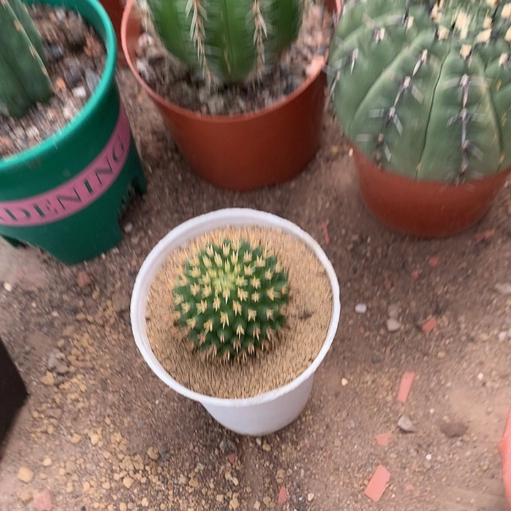 梦***03333333333333333333