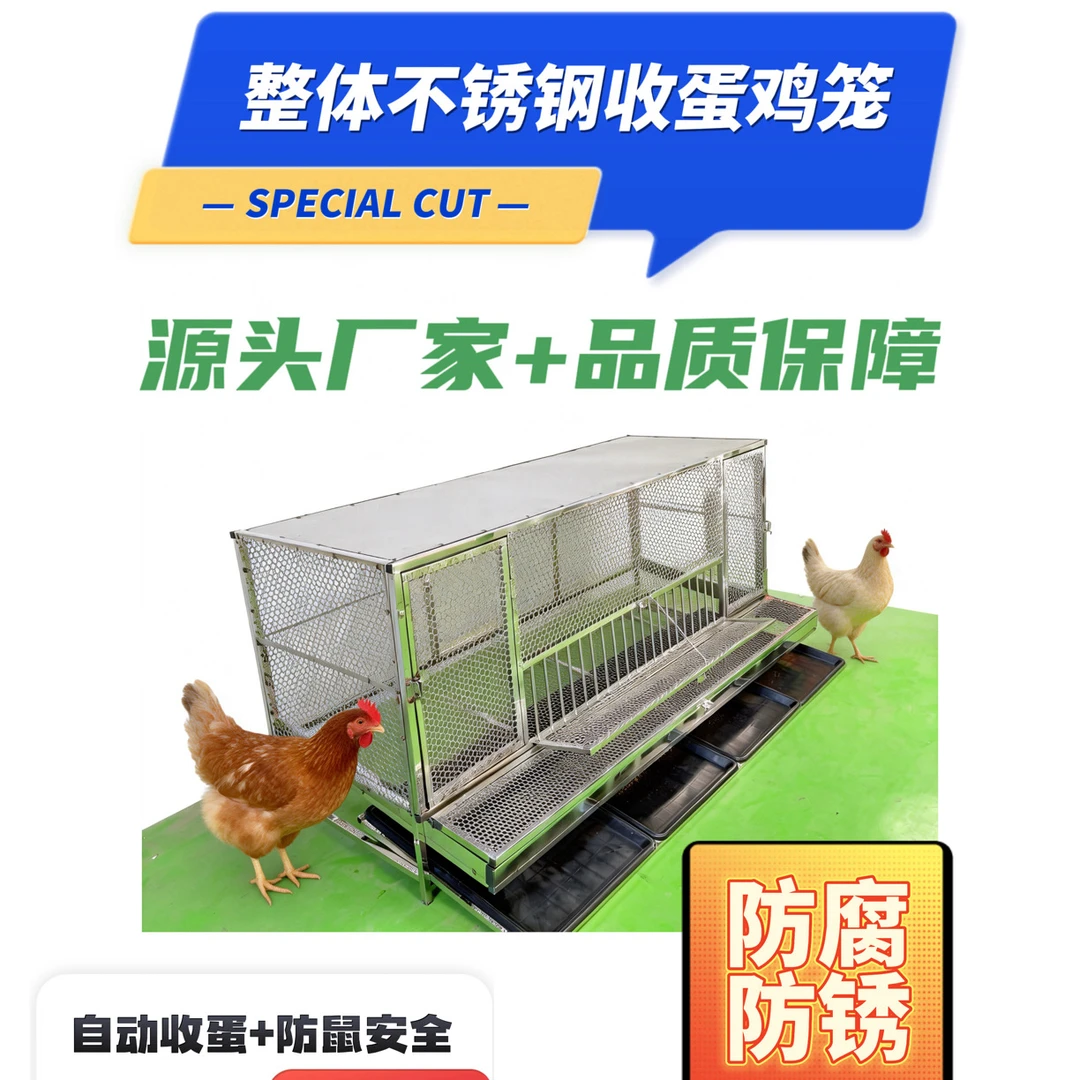 整体不锈钢户外防鼠自动收蛋鸡笼防啄加大空间结实耐用家庭养殖