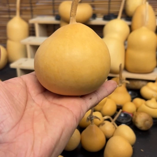 D***O1256899998999999