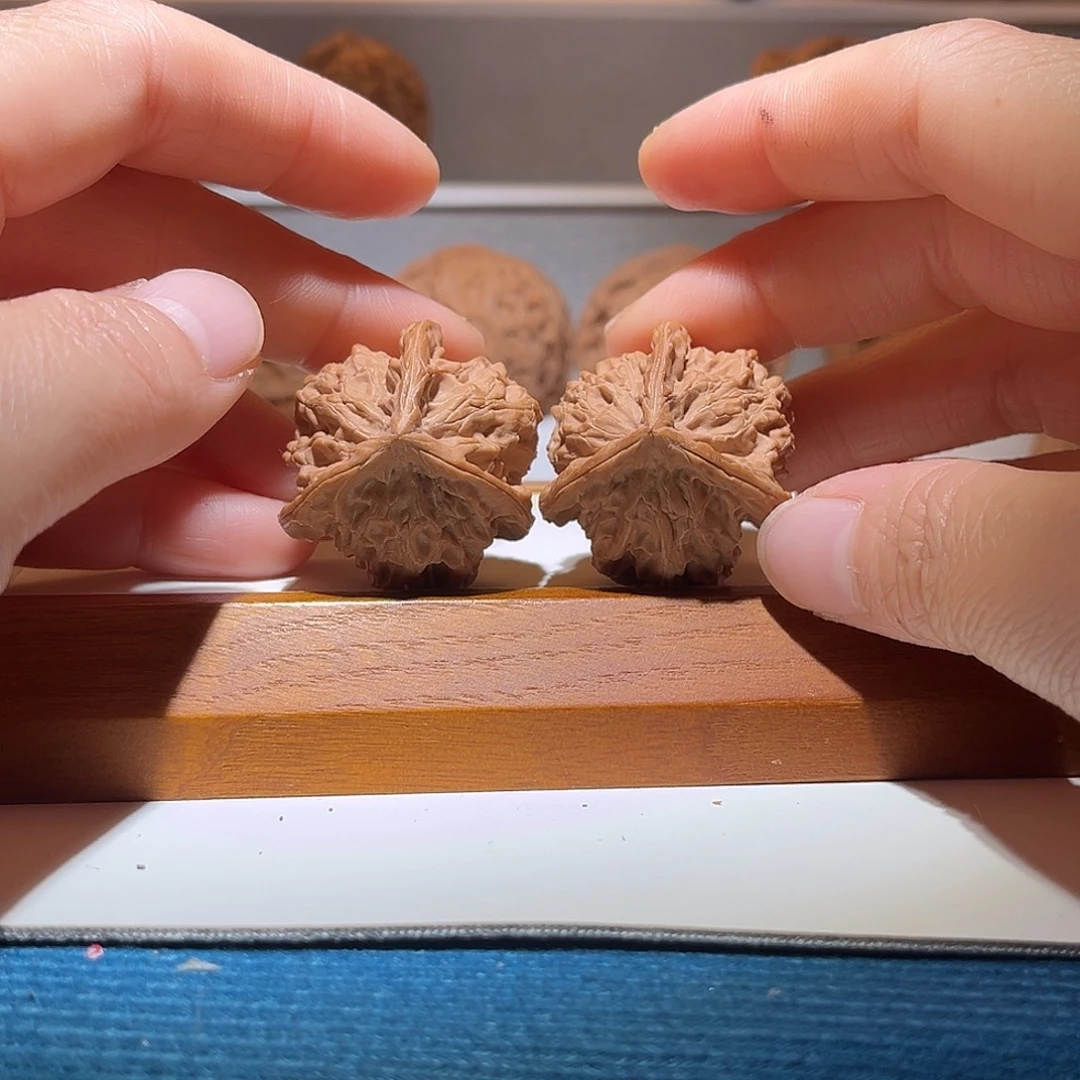 34盘山小正奔……骨质好