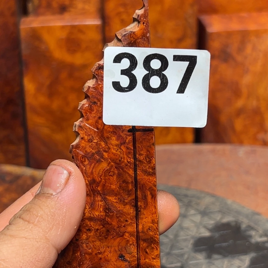 匏***缘大果紫檀（缅甸花梨）