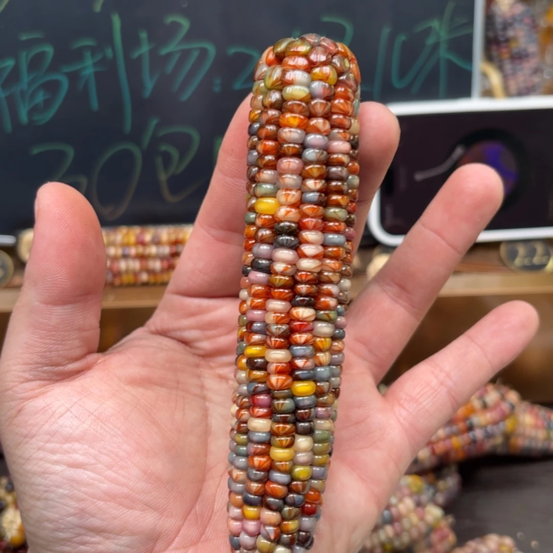 柏香籽/百香籽吊坠莎**儿