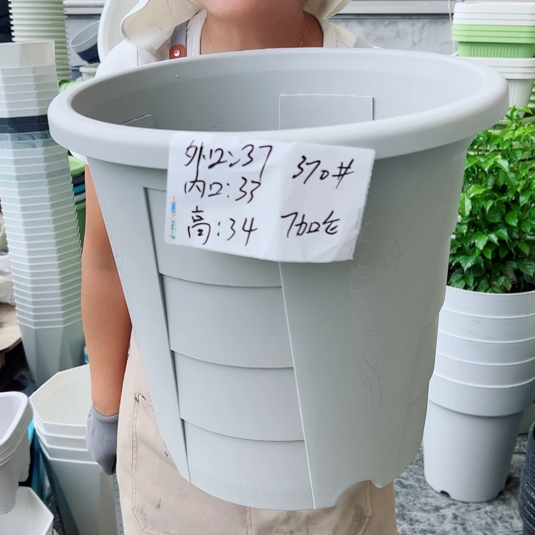 玫瑰370#灰白色4个无托