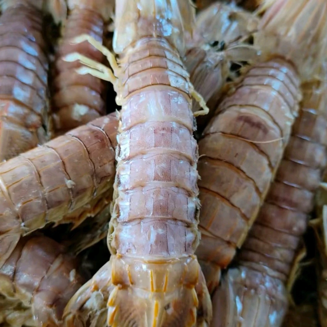 刚下船的皮皮虾5斤(新疆西藏不发货)