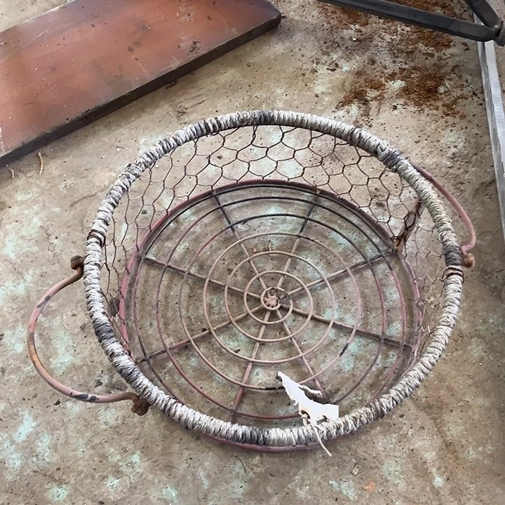户外运动场和体育设施的建设