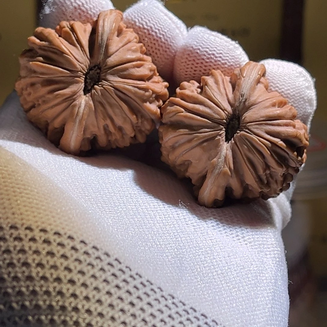 启***家全品 40全品楼子。全哦。