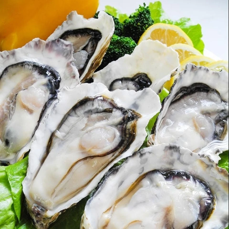 【长春同城】金标肥生蚝3斤（规格2两半-3两/只） 保鲜不保活