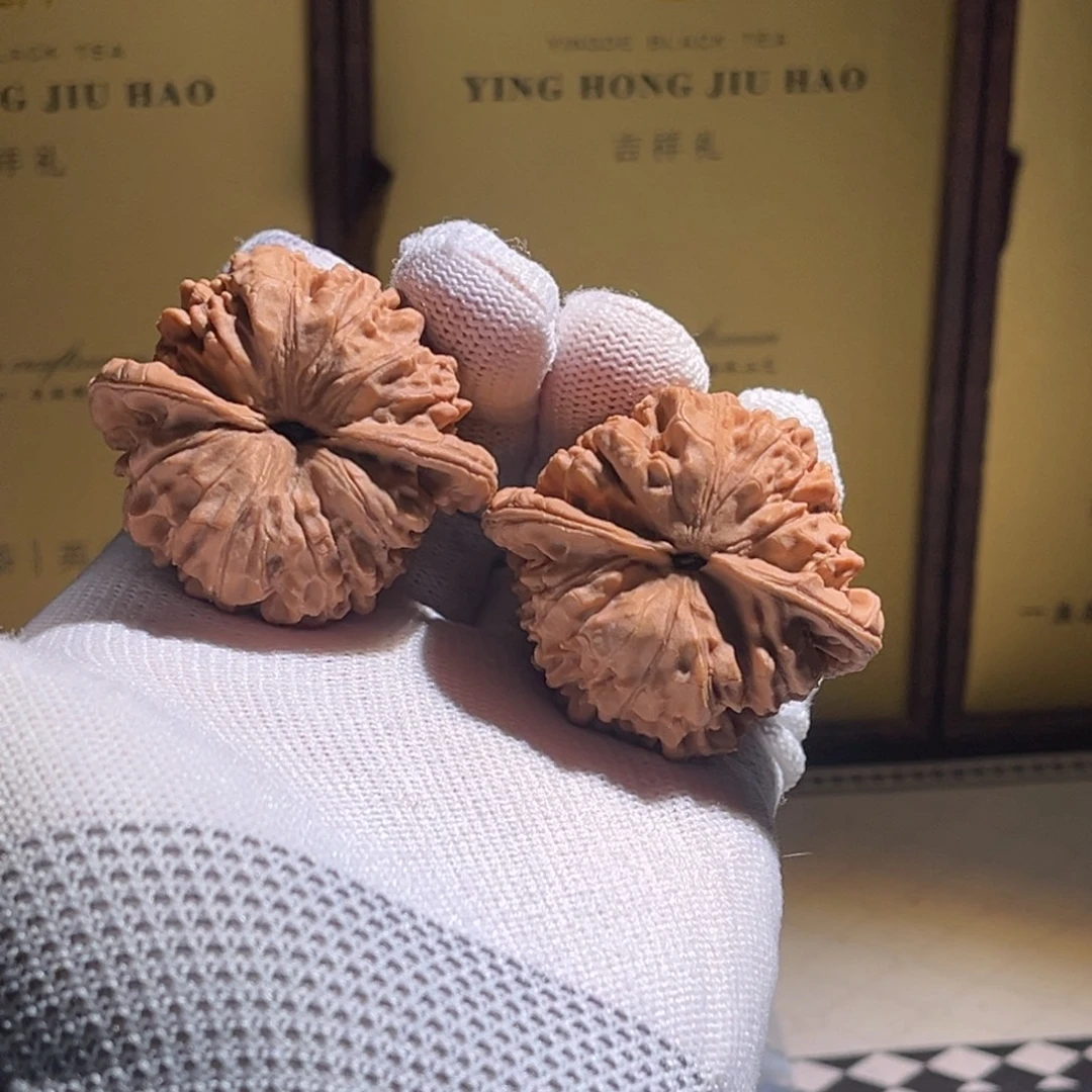 用***5全品 46官帽 全品