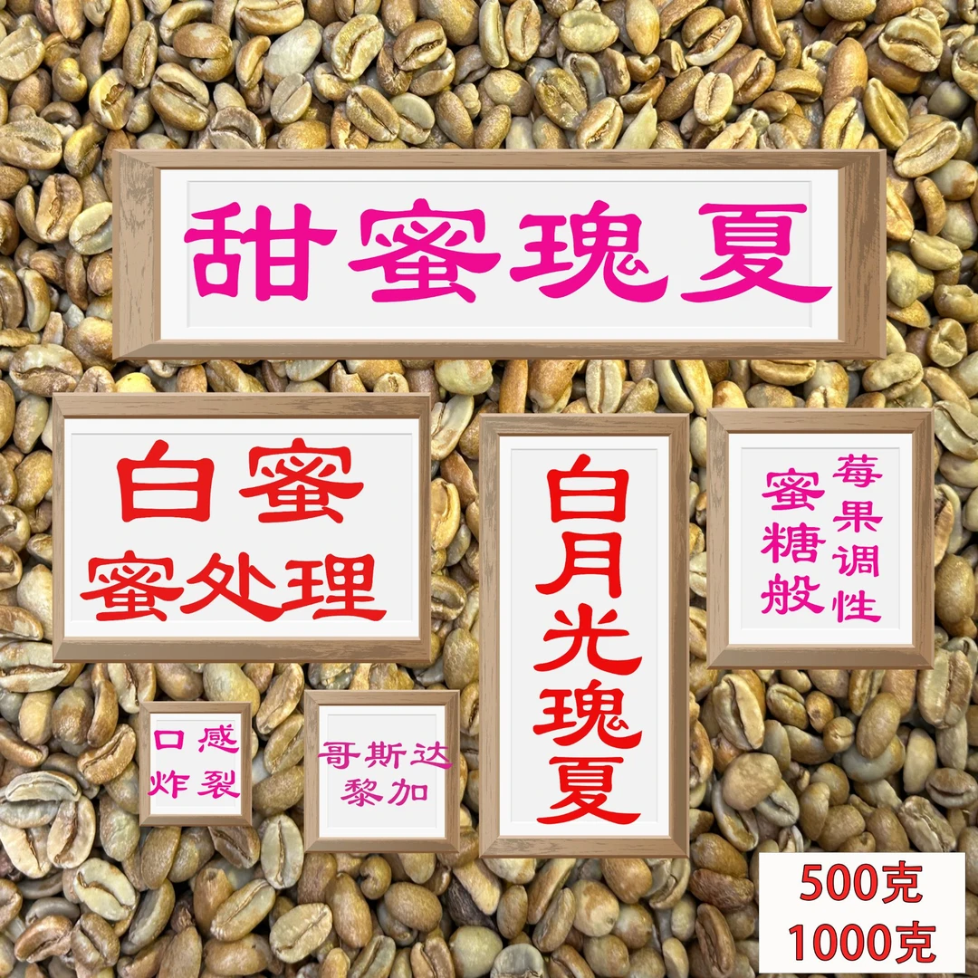 (咖啡生豆)白蜜瑰夏咖啡生豆哥斯达黎加咖啡手冲咖啡豆美式咖啡豆