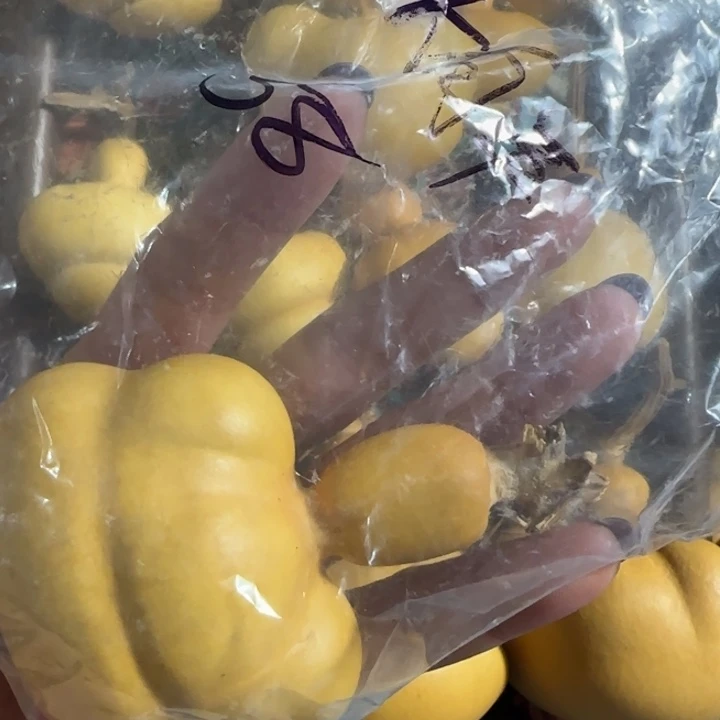 大****葫芦钱袋子葫芦手把件