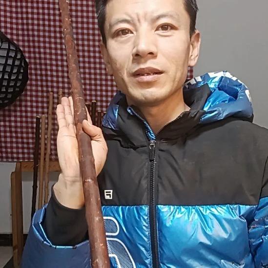 太行山北对节短棍