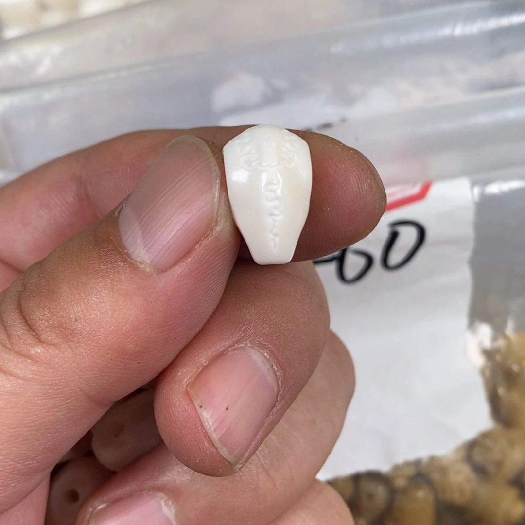 手串/手链驼骨配饰4