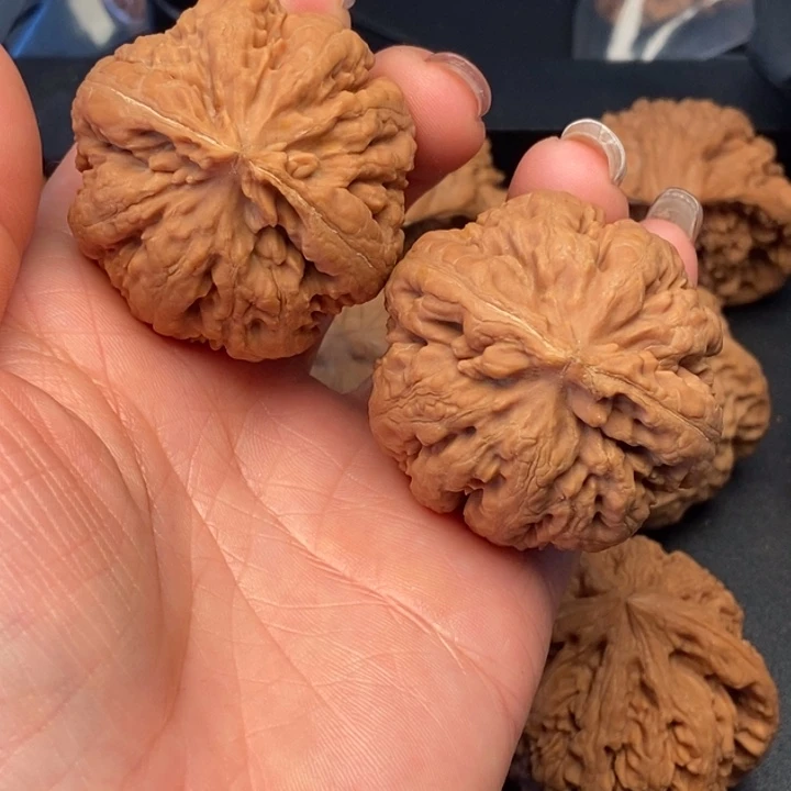 用***2吊坠文玩核桃霸王龙