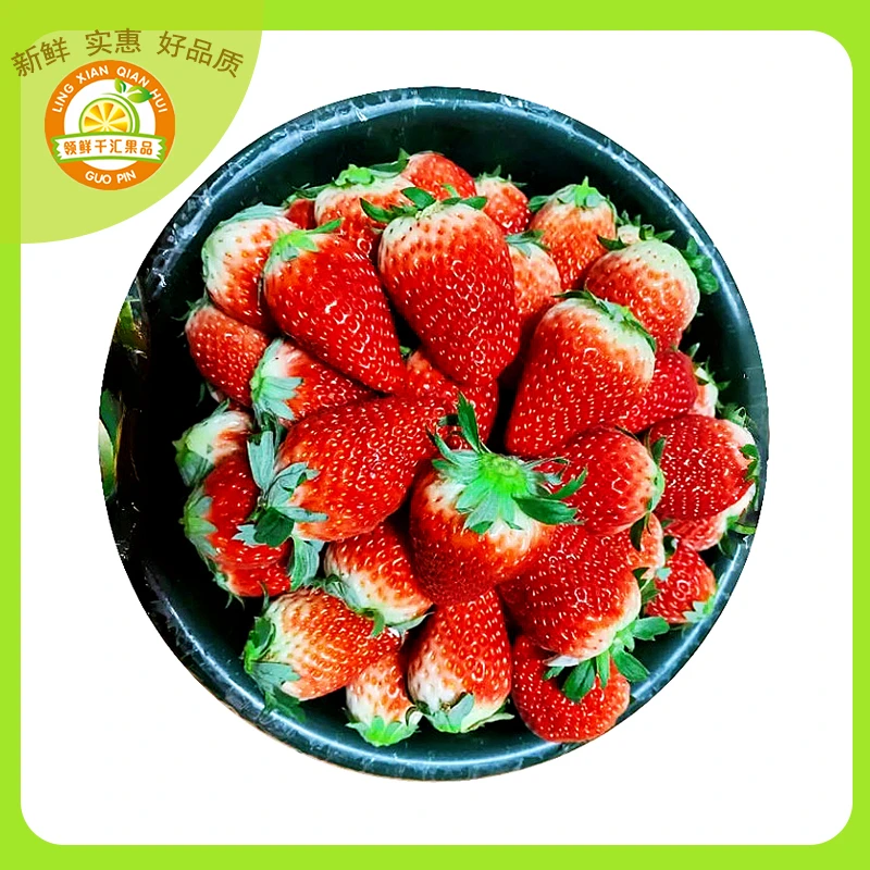 【整果】新鲜奶油草莓(基地盆装，底部可能部分压伤)   约1.5-1.8斤
