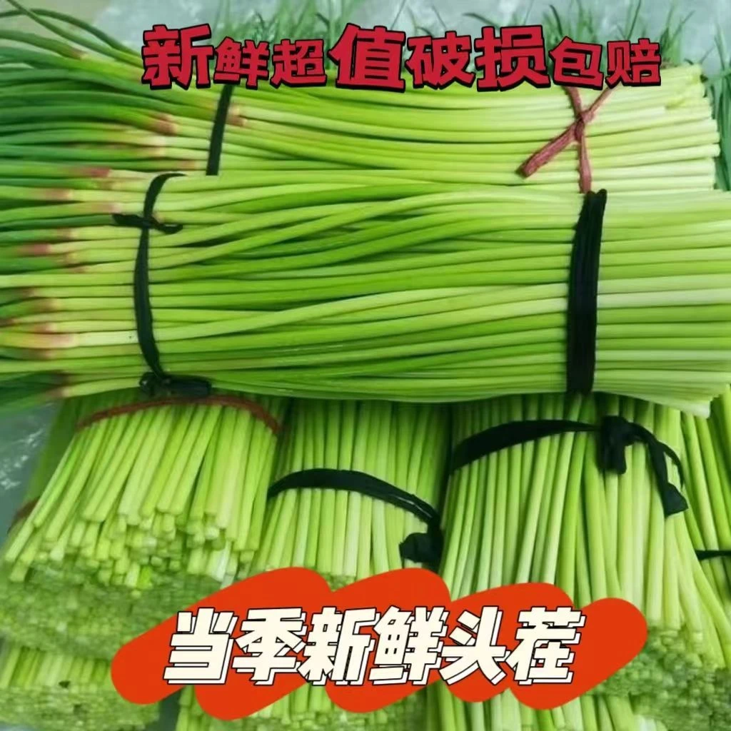 产地直发蒜苔当季现挖鲜嫩清脆应季蔬菜批发农家蒜苔蔬菜蒜苗蒜薹