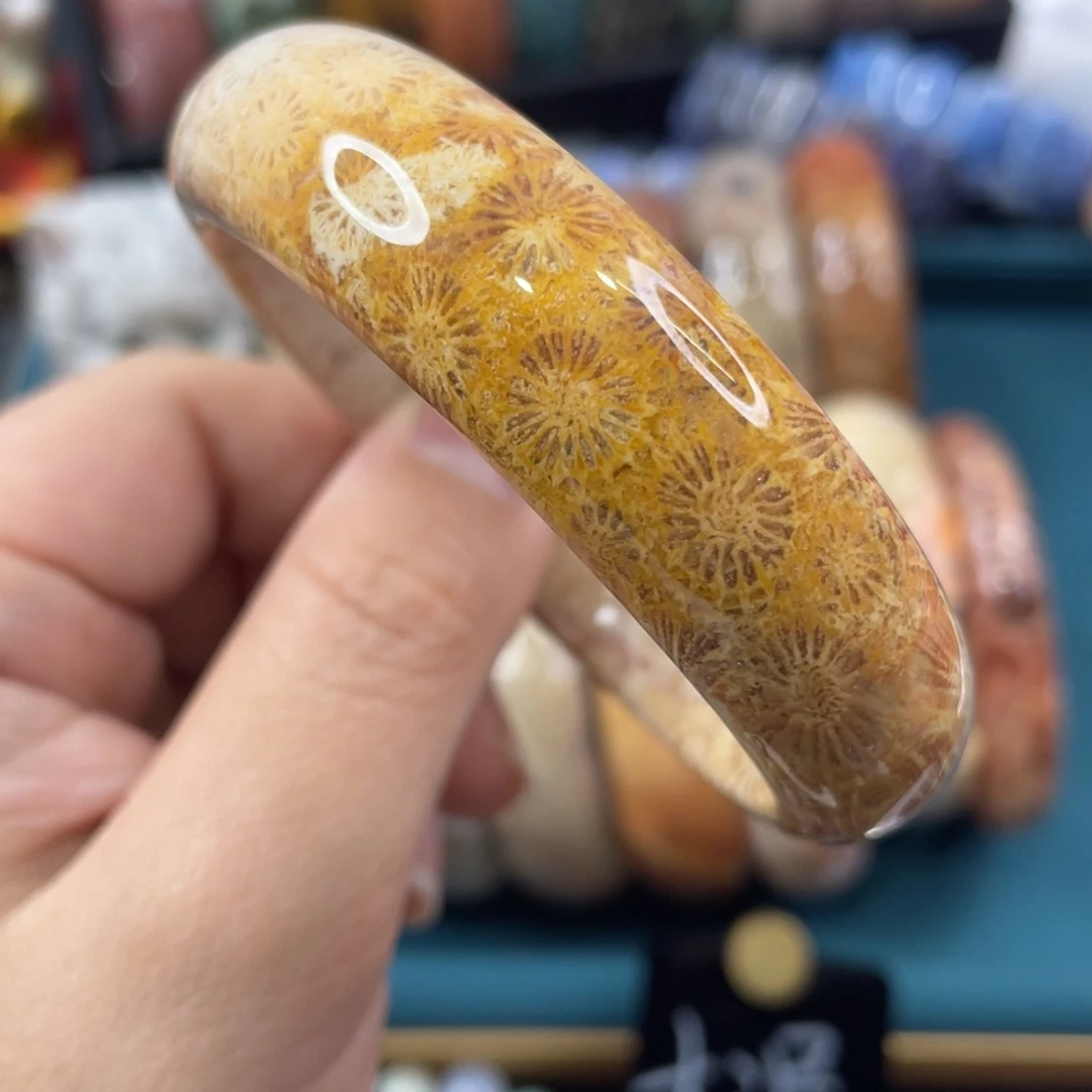 未镶嵌手镯硅化玉