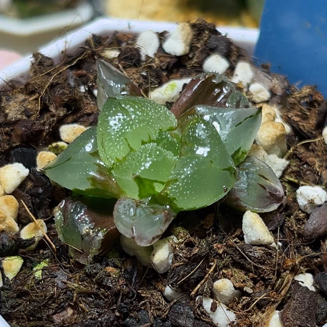 恭喜发财大吉大利719