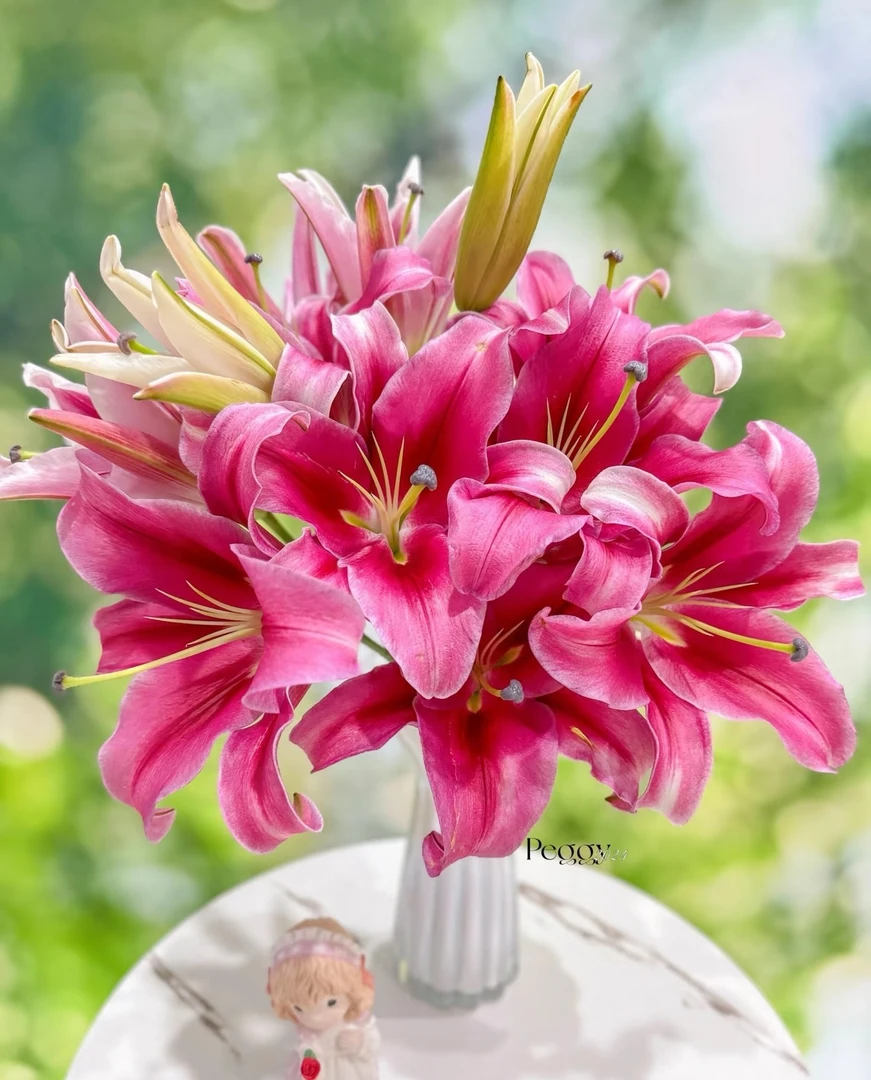 【新疆包邮】10枝10朵粉色香水百合