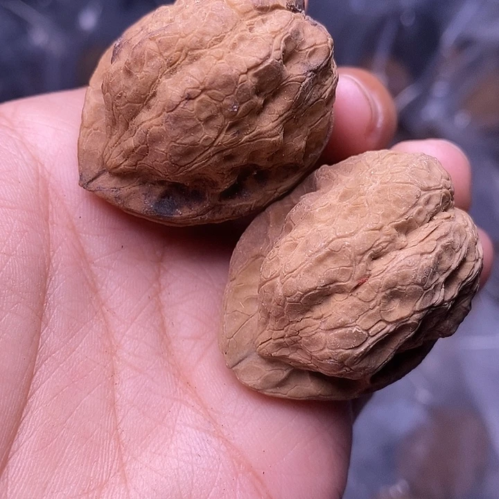 文玩核桃把件   77