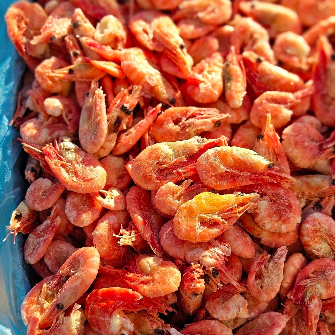 【断虾残虾4斤装】北极熊25新虾北极甜虾冰虾4斤装