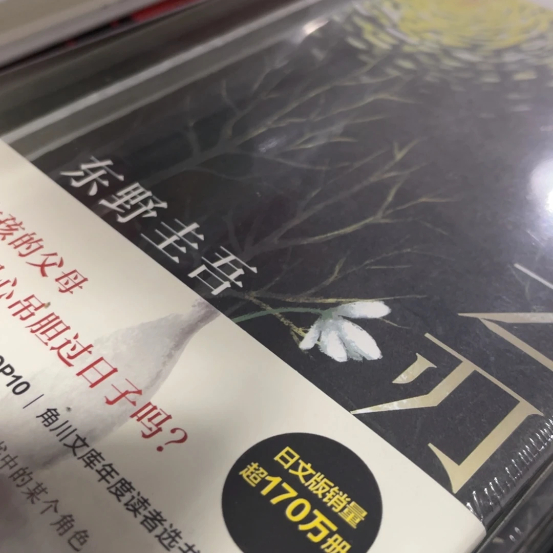 彷徨之刃精装一个