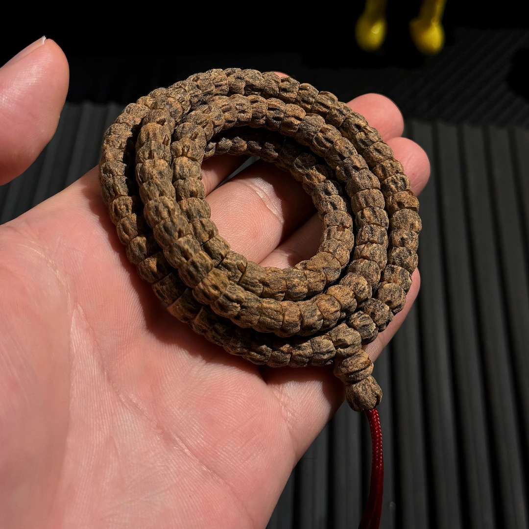 「赤·巧克力」热振脏鬼顺纹斜切大肠柏香籽 纵享丝滑