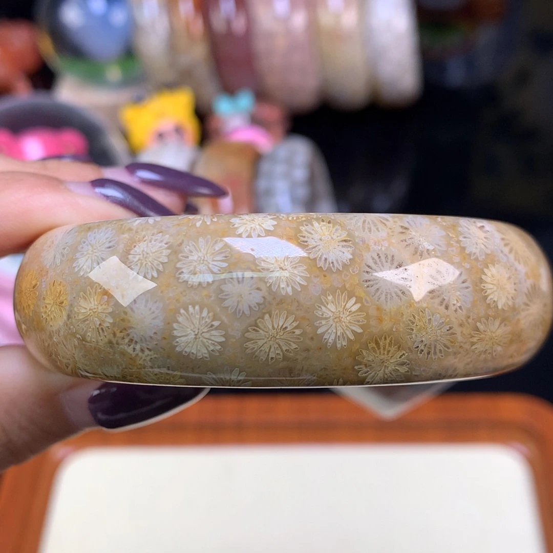 【闪购商品】颈饰未镶嵌硅化珊瑚（珊瑚玉）皮花雏菊57.7（45号）
