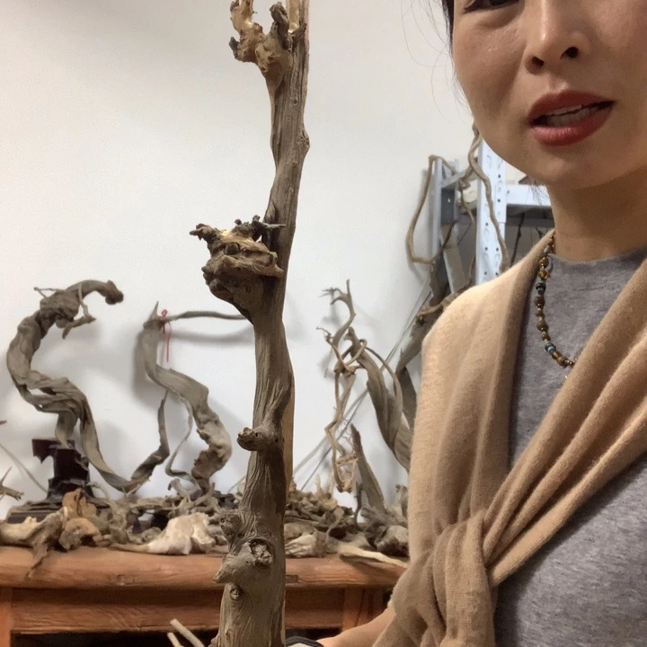 木太行崖柏毛料板根