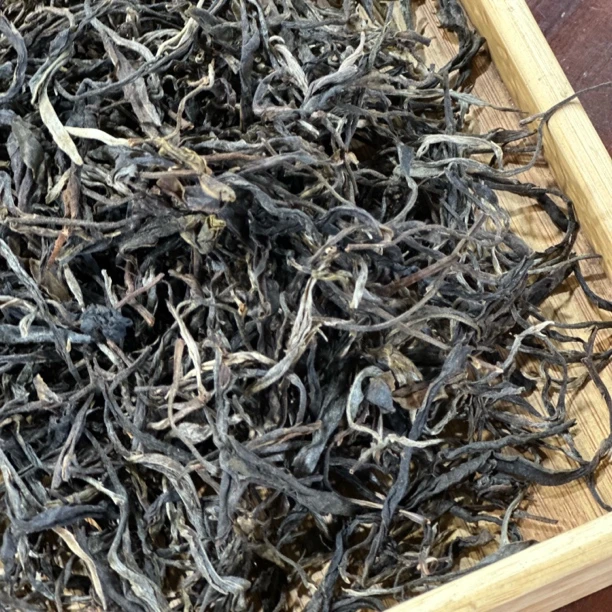 2025年约乌古树头春古树普洱茶生茶散茶500克/份