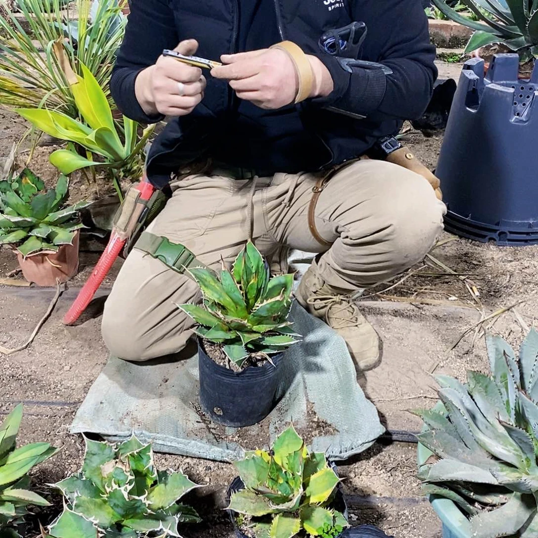 明**说9490大岛一颗11