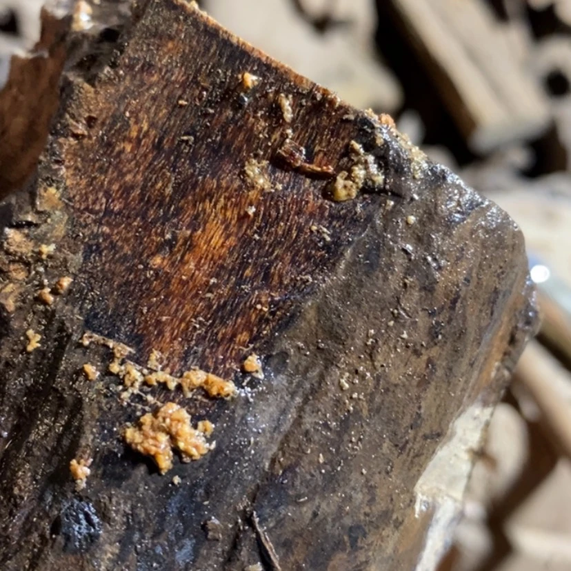 【闪购商品】手串贡木灼*私人订制