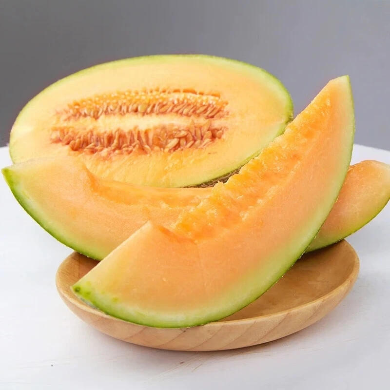 海南头茬沙地西州蜜瓜 一藤一瓜TZ1