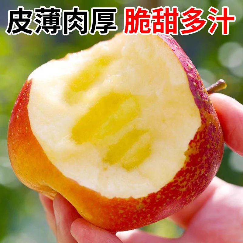 云南高山昭通丑苹果新鲜脆甜当季水果多汁甜苹果云南丑圣诞苹果