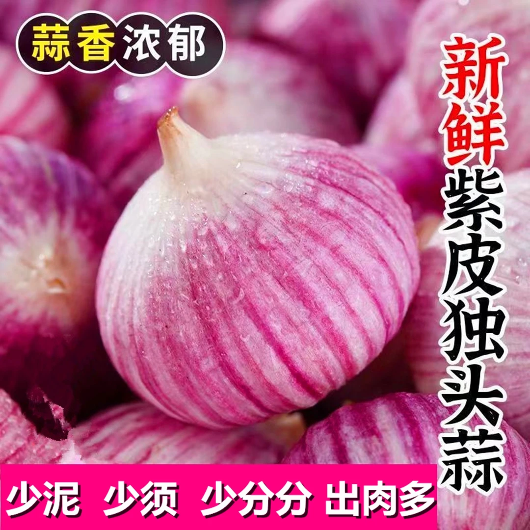 紫皮大蒜独头蒜湿蒜大果大蒜头醋蒜腊八蒜半斤起每箱包邮直播批发