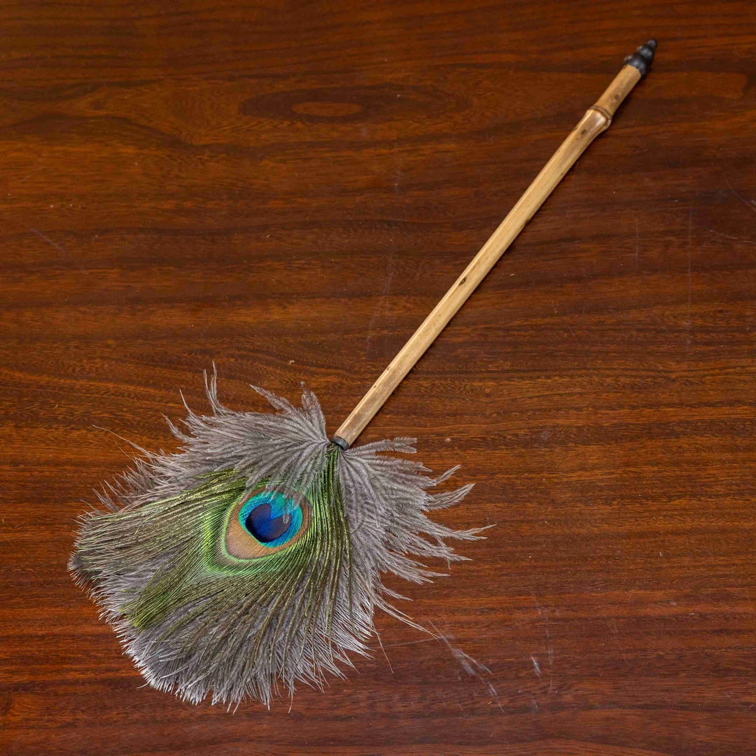 ZT云妃竹鸵鸟拂尘