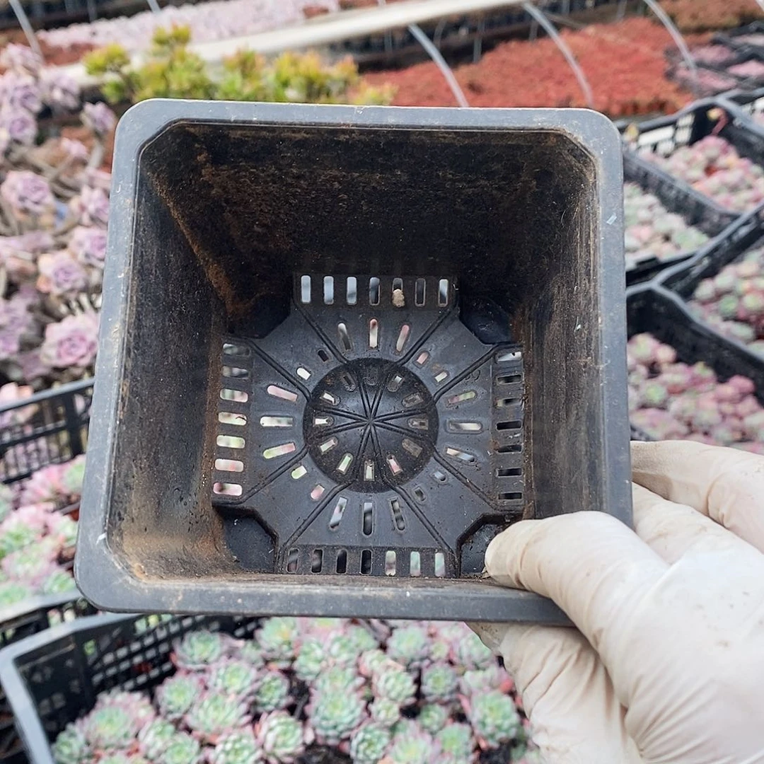 塑料旧12黑方盆加厚30个