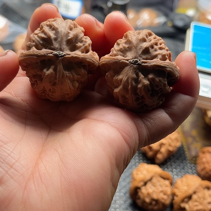 L***1把件桃核全品红锦鲤边40肚42