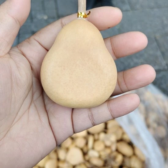 不***鬼有机玻璃葫芦娃摆件