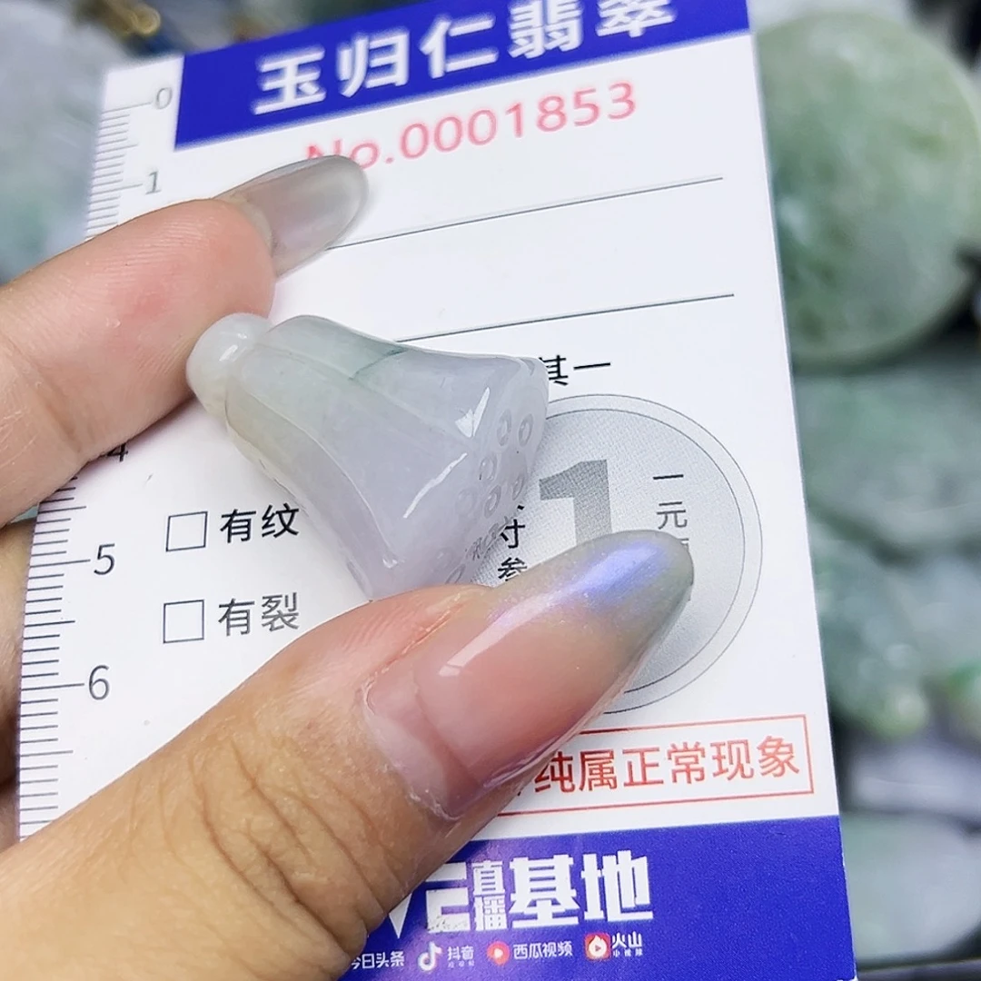 翡翠未镶嵌吊坠(不含链)11