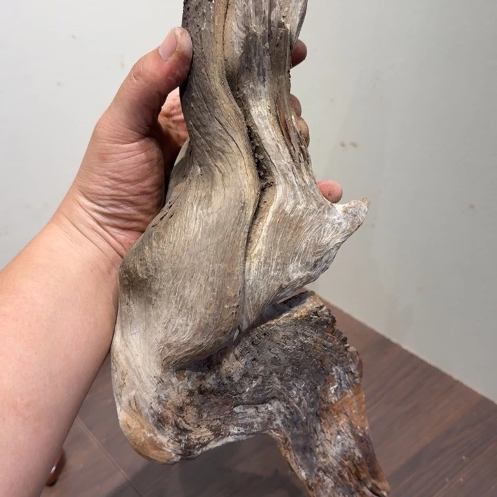 柏木庞****4香港黄金斤斤计较