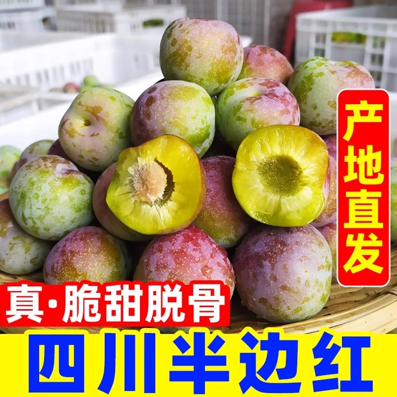 【贪果猴】四川正宗脱骨李半边红李子【收到货半熟，需放置1-3天催熟】