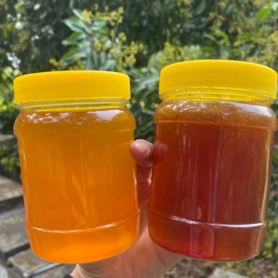 新鲜正宗深山土蜂蜜纯正农家木桶蜂蜜假一赔十