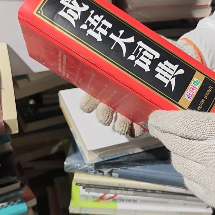 成语大词典（务必塑封）
