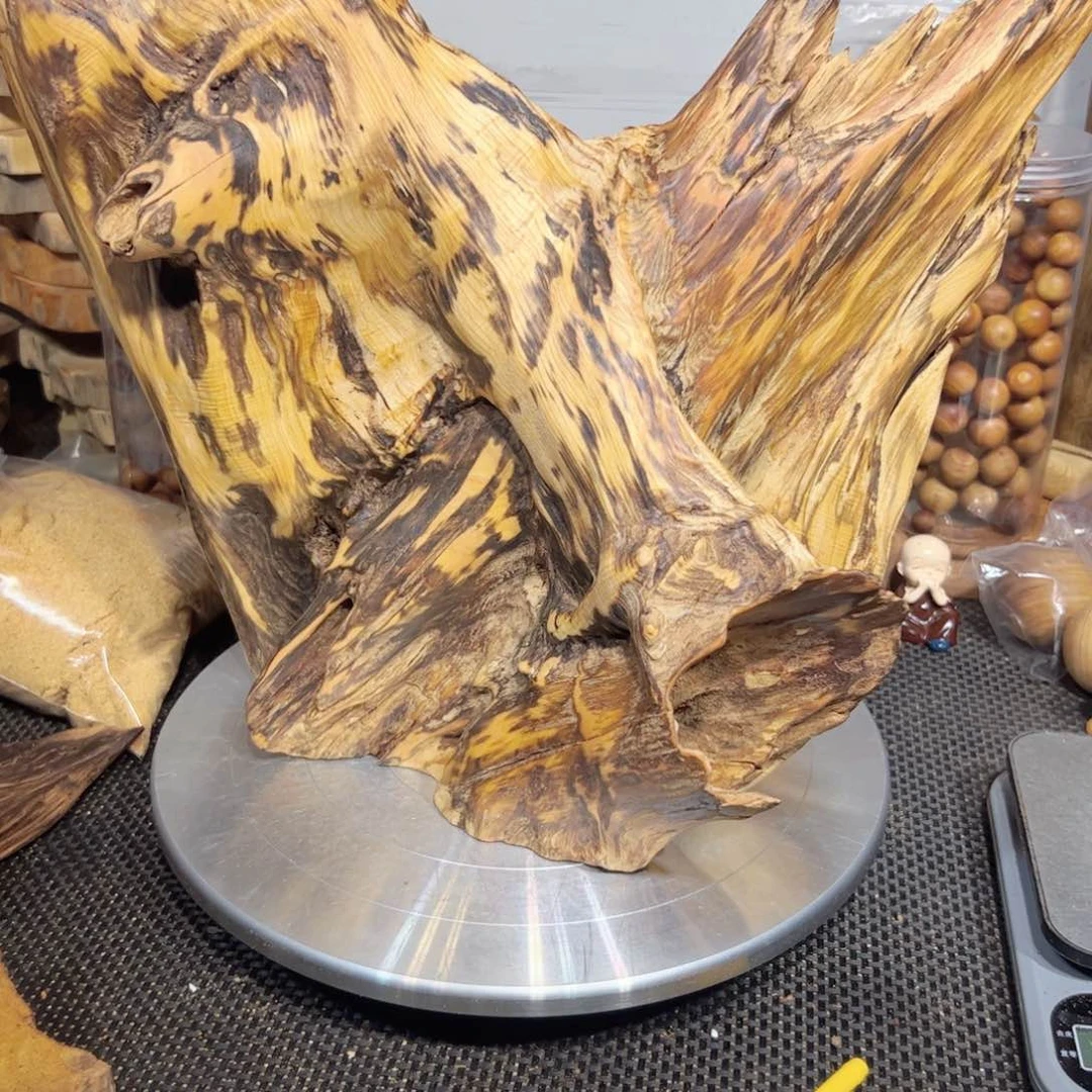 天***勤木直播间一物一拍