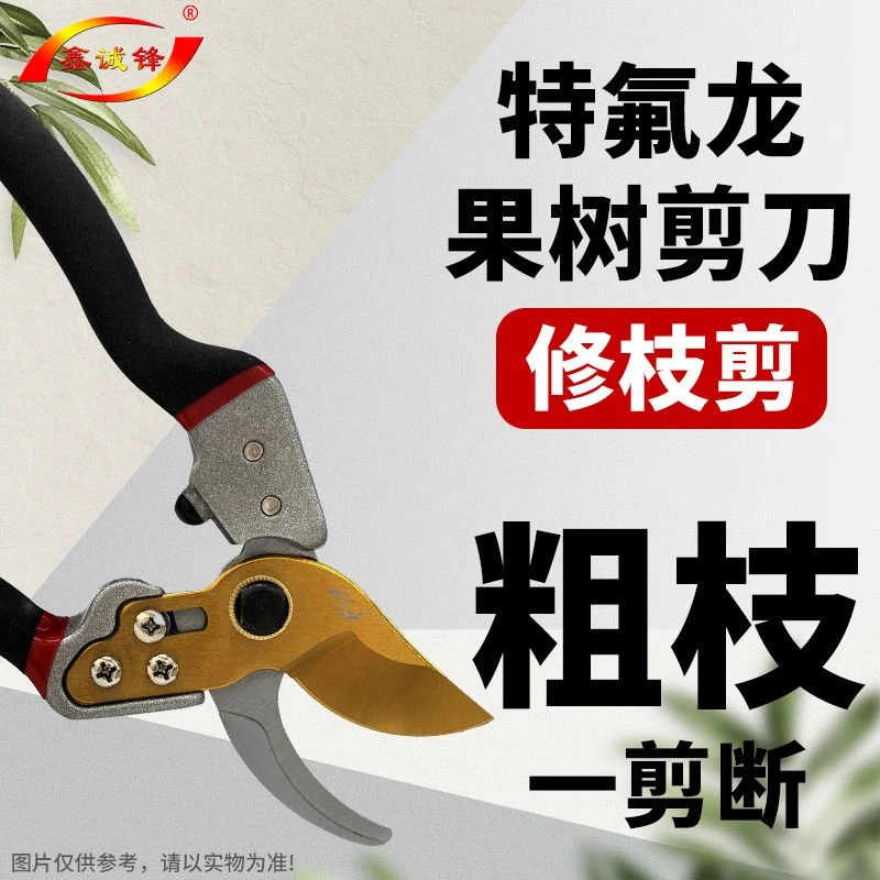专业修枝剪园艺工具锋利耐用防锈防粘轻便手柄果树修剪葡萄藤剪刀